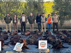 Resultado Montería Monte de Gaviao 2023 Entre Amigos